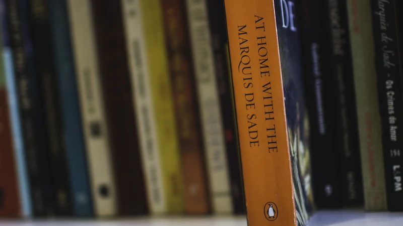 Duas fotografias de uma estante de livros. Na primeira, um livro está mais para frente e apenas ele está em foco. Na segunda, somente os livros atrás estão em foco.