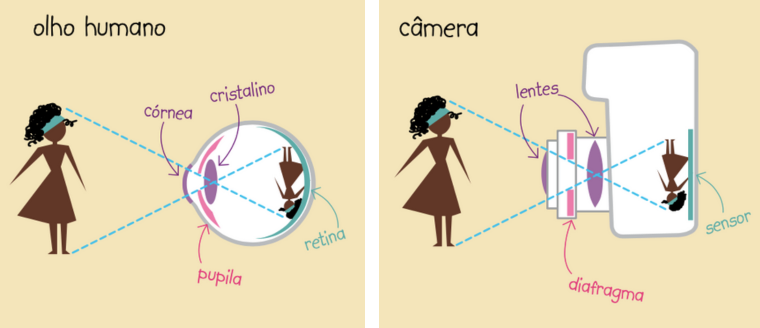 Ilustração mostrando o olho e a câmera, lado a lado, com suas partes correspondentes - lentes e sistema córnea/cristalino, diafragma e pupila, retina e sensor