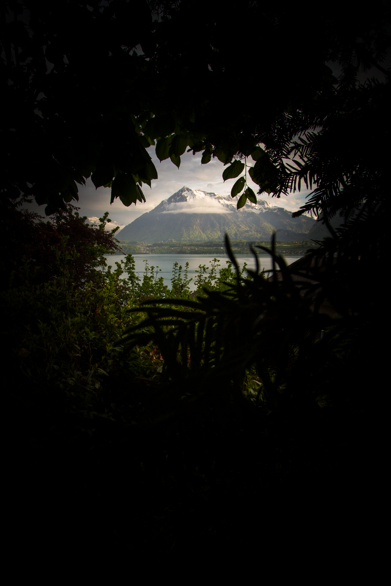 Foto de uma montanha nevada e um lago vistos do alto de uma montanha. Folhagens à volta de todo o quadro formando uma moldura.