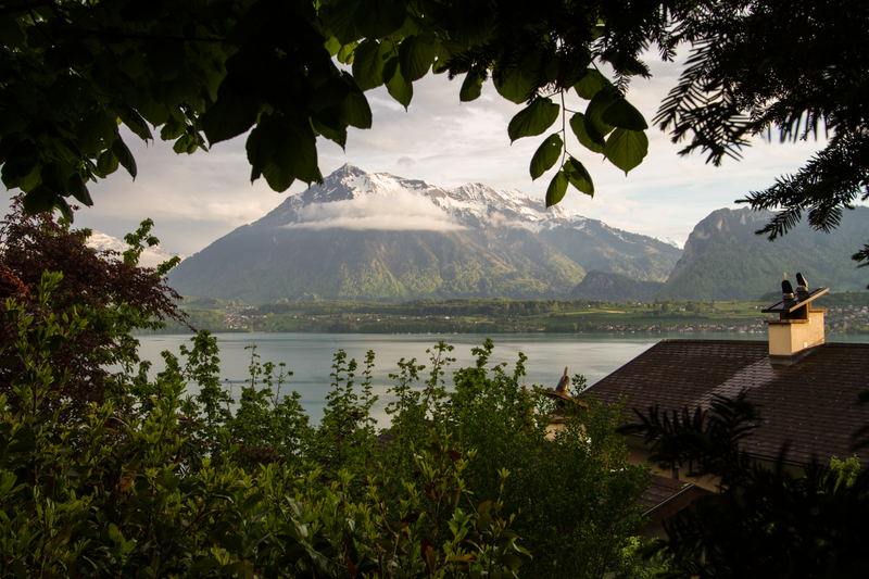 Foto de uma montanha nevada e um lago vistos do alto de uma montanha. Folhagens à volta do quadro e uma casa no canto direito.