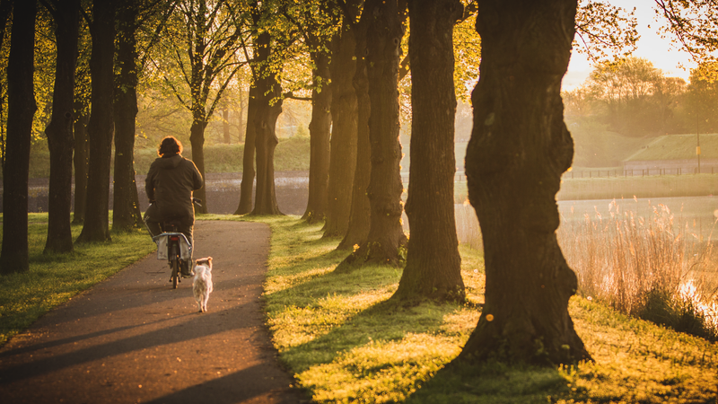 Fotografia de uma pessoa pedalando com seu cachorro em um caminho de um parque. Árvores estão alinhadas ao lado do caminho e projetam sombras na grama. Ao fundo, um corpo de água calmo reflete a luz quente do sol nascente, com uma fortificação ao longe.