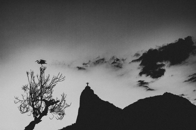 Fotografia de uma árvore sem folhas no primeiro plano, com um pássaro empoleirado em seu topo. Ao fundo, a silhueta do Cristo Redentor no topo do Corcovado. O céu tem nuvens escuras e áreas mais claras.