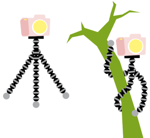 Ilustração de um tripé pequeno feito de pequenos gomos, agarrado em uma árvore.