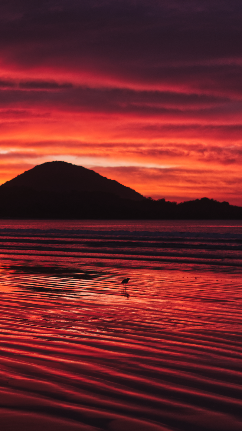 Nascer do sol avermelhado com uma montanha ao fundo, a areia da praia em primeiro plano e uma ave no solo.