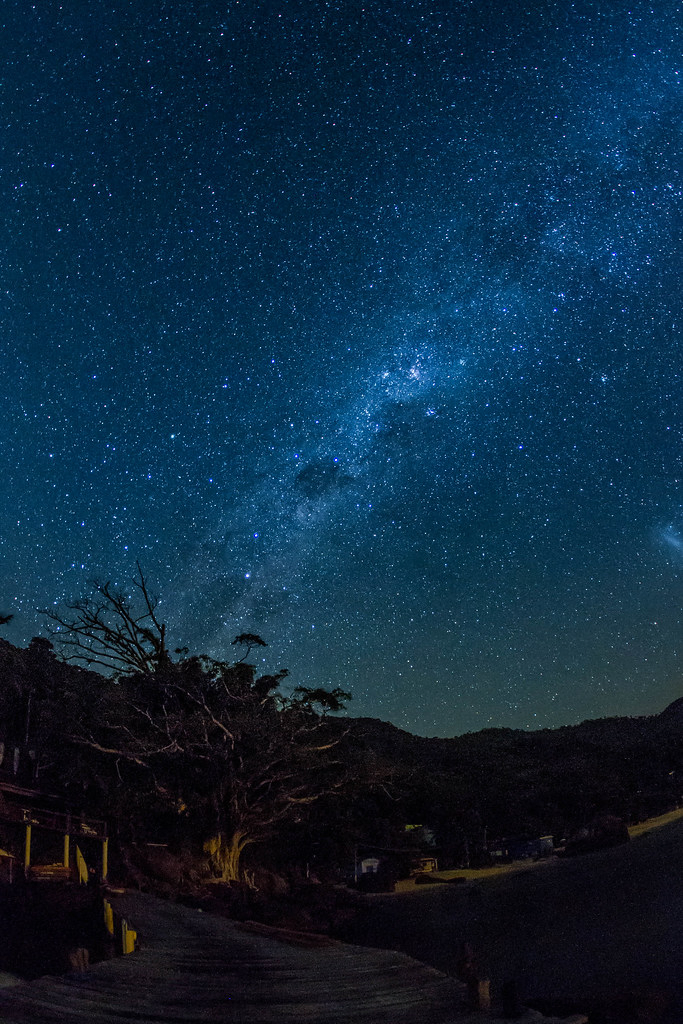 Foto do céu estrelado em que se vê a via láctea e uma paisagem com árvores em primeiro plano.